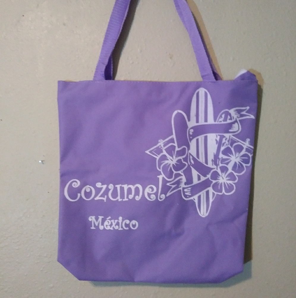 Purple Zippered Cozumel Beach Tote